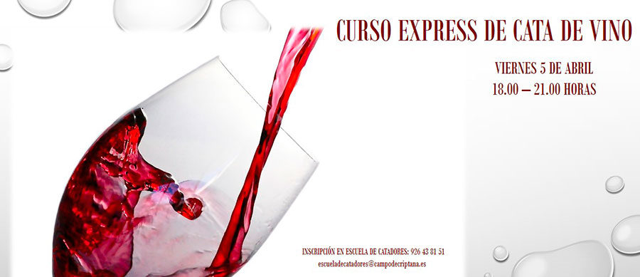 Curso Express de cata de vino